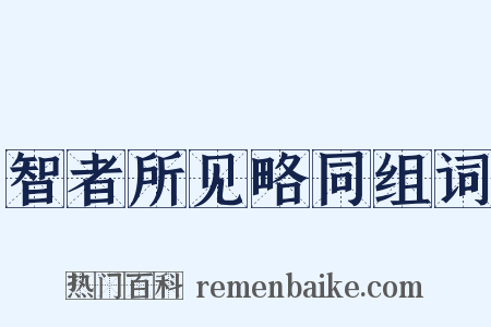 智者所见略同组词是什么意思的图片